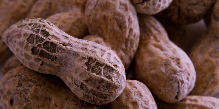 Poor Sleep, Lack of Exercise Increase Risk of Nut Allergy